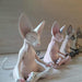 Serenity in Style: Sphinx Cat Yoga Figurine for Your Workspace