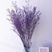 Elegant Dried Gypsophila Bouquet - Ideal for Weddings & Rustic Home Decor