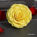 Timeless Grace: Luxurious Preserved Rose Head for Lasting Splendor