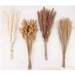 Bohemian Chic Pampas Grass Bundle for Natural Home Decor and Events
