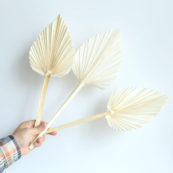 Tropical Oasis Palm Leaf Decorative Hand Fan