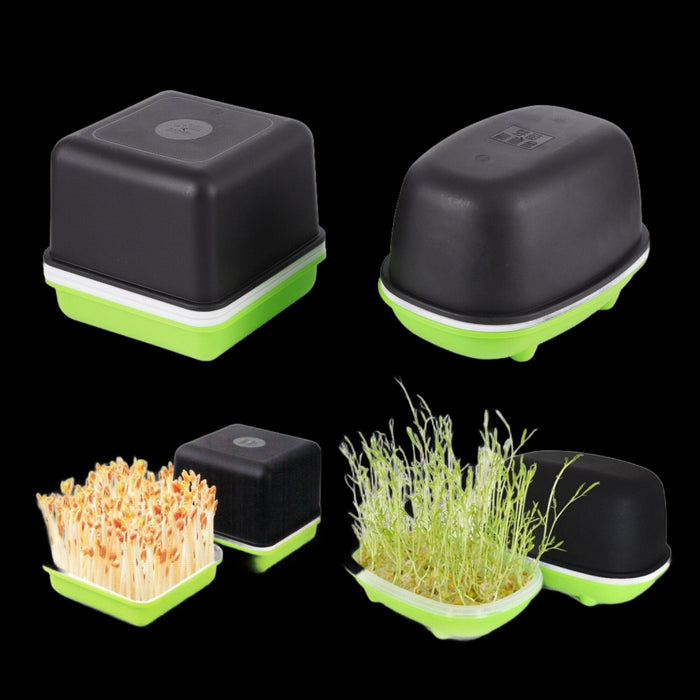 Nutrient-Rich Home Sprouting Kit for Vibrant Harvests