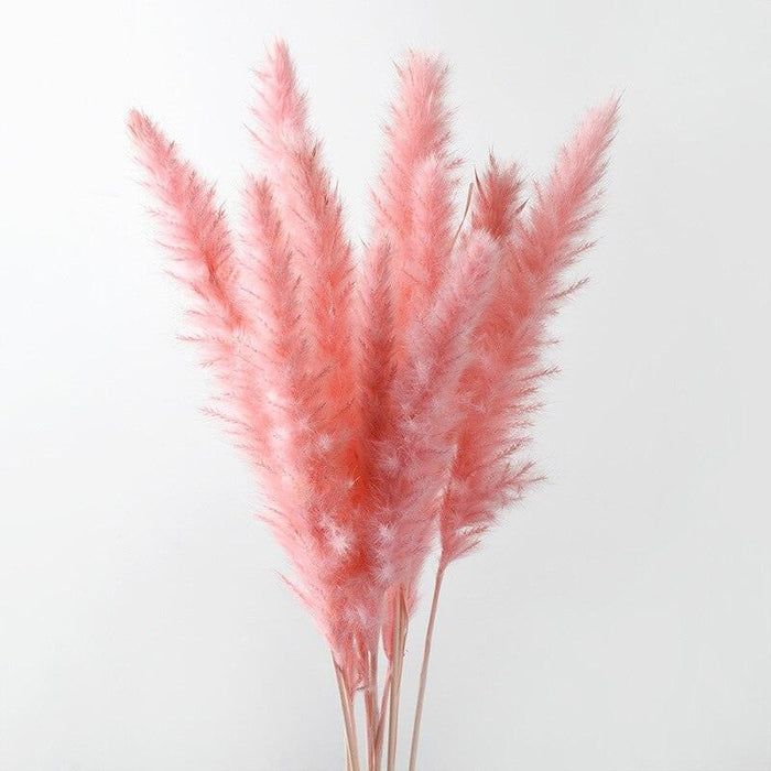 Dried Pampas Grass Bouquet - Elegant Rustic Decor for Homes and Weddings