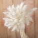 Boho Wedding Decor: Authentic Natural Bunny Tail Dried Flowers - Set of 30/100