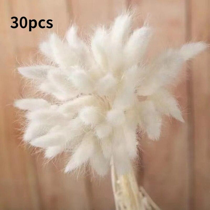 Dried Pampas Grass Bouquet - Elegant Rustic Decor for Homes and Weddings