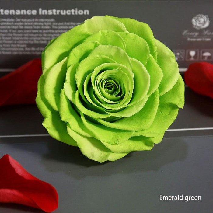 Timeless Grace: Luxurious Preserved Rose Head for Lasting Splendor