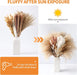 Dried Pampas Grass Bouquet - Elegant Rustic Decor for Homes and Weddings