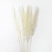 Natural Dried Pampas Grass and Reed Bouquet for Stylish Home and Wedding Decor