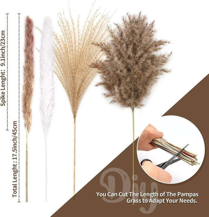 Dried Pampas Grass Bouquet - Elegant Rustic Decor for Homes and Weddings