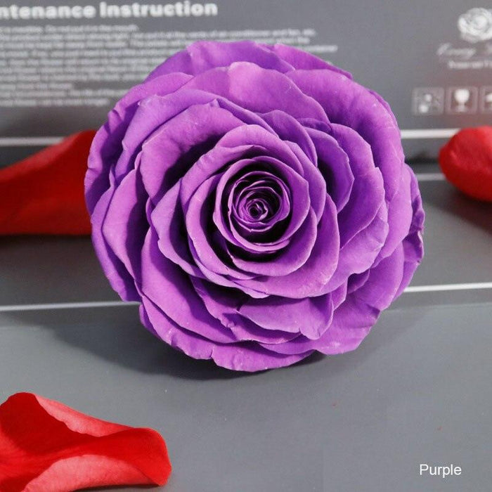 Timeless Grace: Luxurious Preserved Rose Head for Lasting Splendor