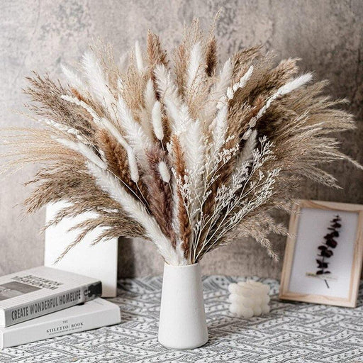 Natural Dried Rabbit Tail Pampas Grass Decorative Bundle - 80 Stems