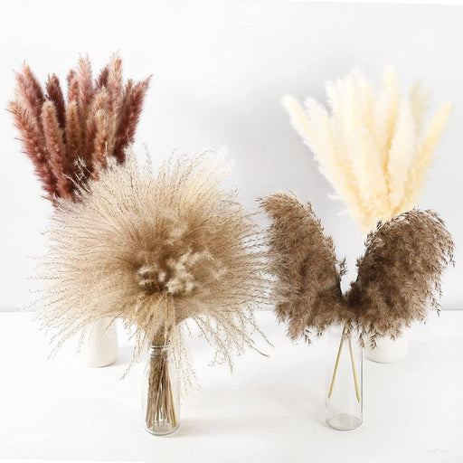 Dried Pampas Grass Bouquet - Elegant Rustic Decor for Homes and Weddings