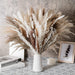 Natural Elegance: 80-Piece Dried Pampas Grass Arrangement for Effortless Home Styling