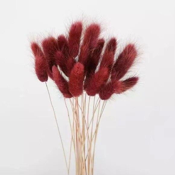 Boho Wedding Decor: Authentic Natural Bunny Tail Dried Flowers - Set of 30/100