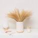 Natural Dried Pampas Grass and Reed Bouquet for Stylish Home and Wedding Decor