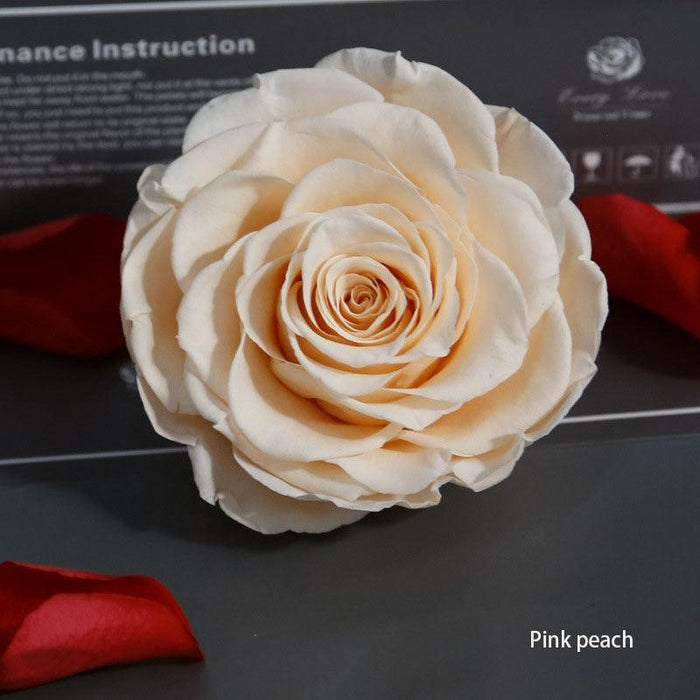 Timeless Grace: Luxurious Preserved Rose Head for Lasting Splendor