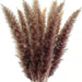 Elegant Natural Pampas Grass Decor Bundle - 15-Piece Set