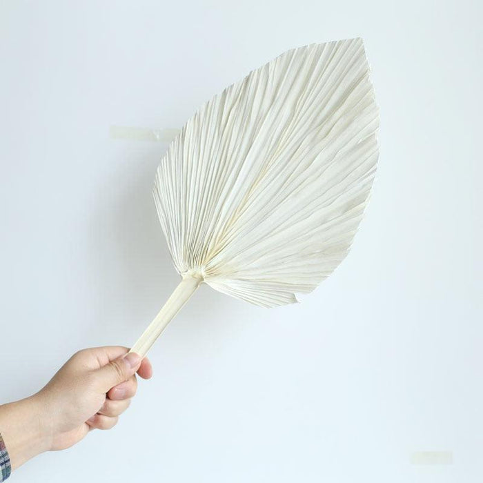 Tropical Paradise Palm Leaf Hand Fan for Exotic Ambiance