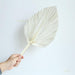 Tropical Oasis Palm Leaf Decorative Hand Fan