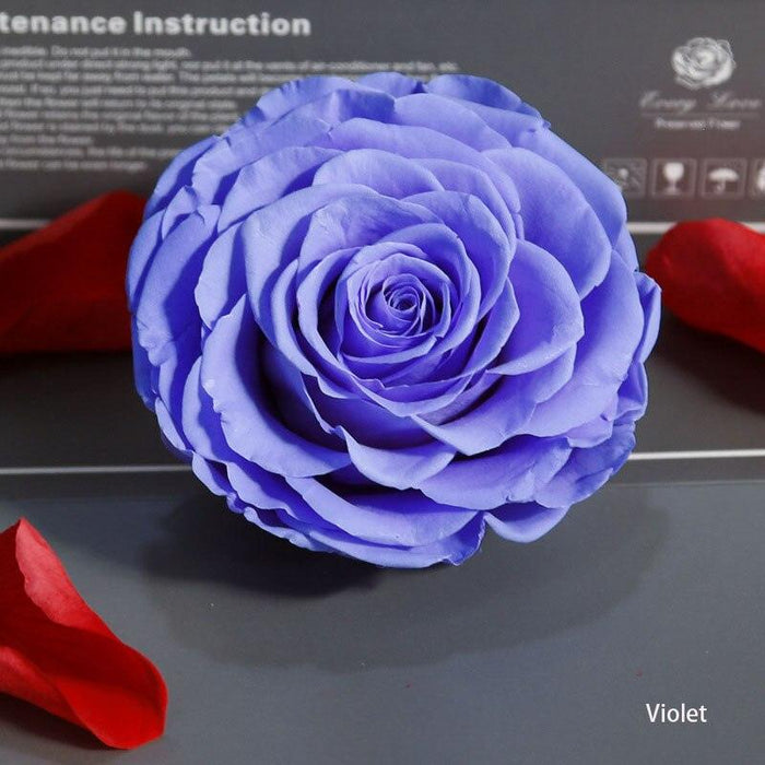 Timeless Grace: Luxurious Preserved Rose Head for Lasting Splendor