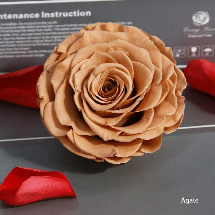 Timeless Grace: Luxurious Preserved Rose Head for Lasting Splendor