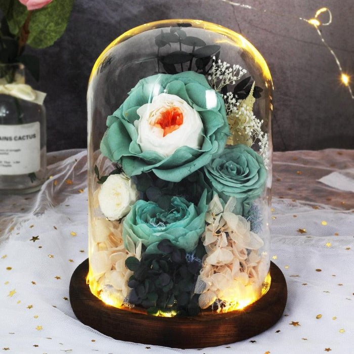 Timeless Blossom - Captivating Rose Preserved in Glass Dome