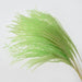 Natural Dried Pampas Grass and Reed Bouquet for Stylish Home and Wedding Decor