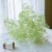 Elegant Dried Gypsophila Bouquet - Ideal for Weddings & Rustic Home Decor