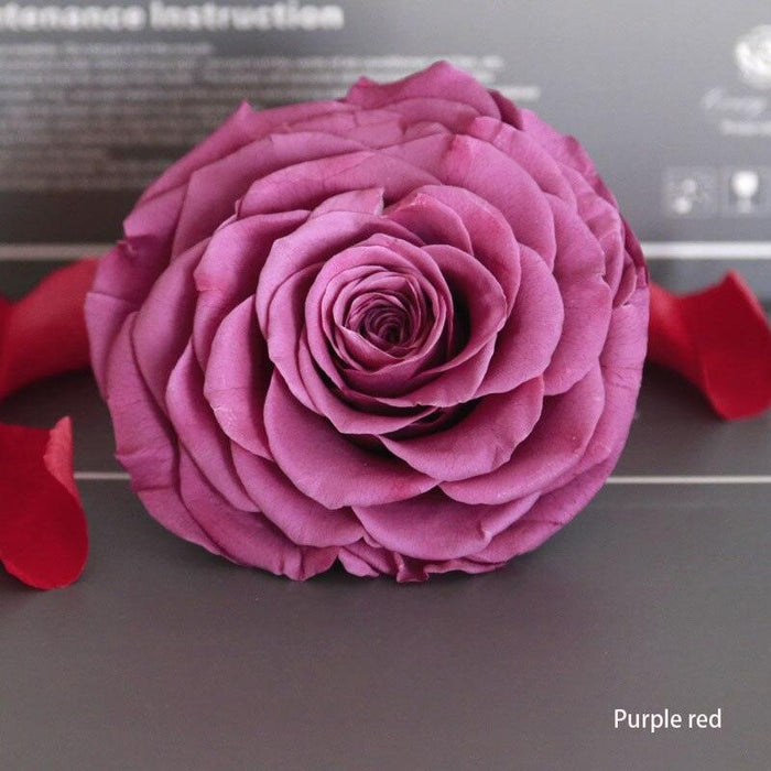 Timeless Grace: Luxurious Preserved Rose Head for Lasting Splendor