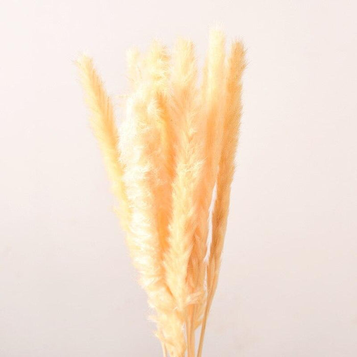 Chic Dried Pampas Grass and Reed Arrangement for Home and Wedding Decor