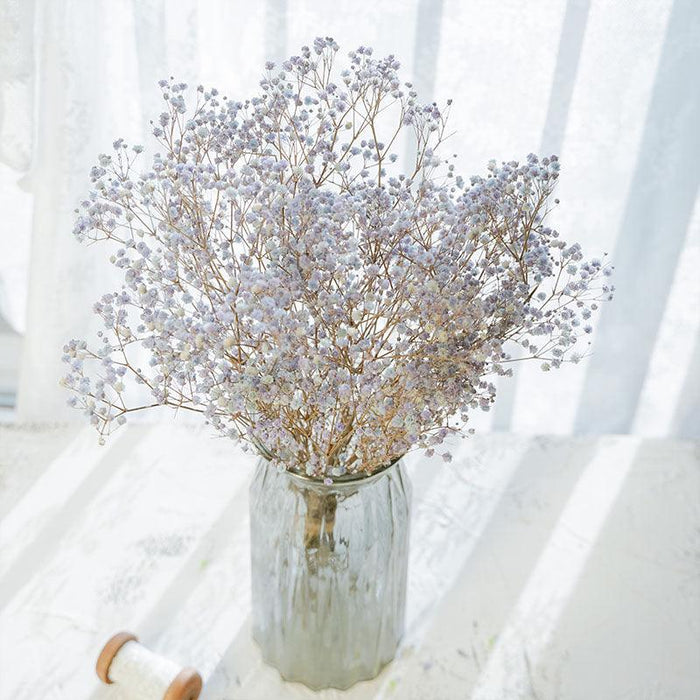 Elegant Dried Gypsophila Bouquet - Ideal for Weddings & Rustic Home Decor