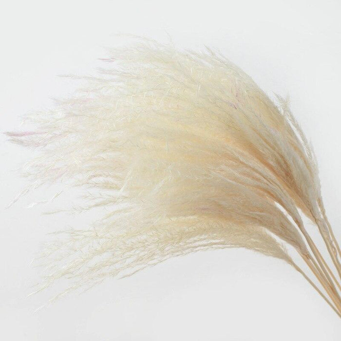 Dried Pampas Grass Bouquet - Elegant Rustic Decor for Homes and Weddings