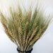Elegant Pampas Grass Large Bouquet - Premium Dried Flower Arrangement for Everlasting Home Decor
