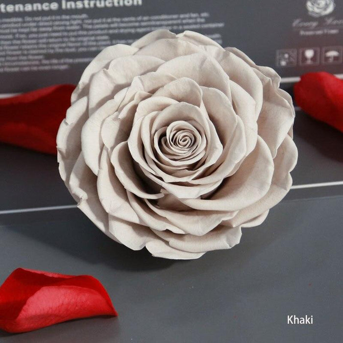 Timeless Grace: Luxurious Preserved Rose Head for Lasting Splendor