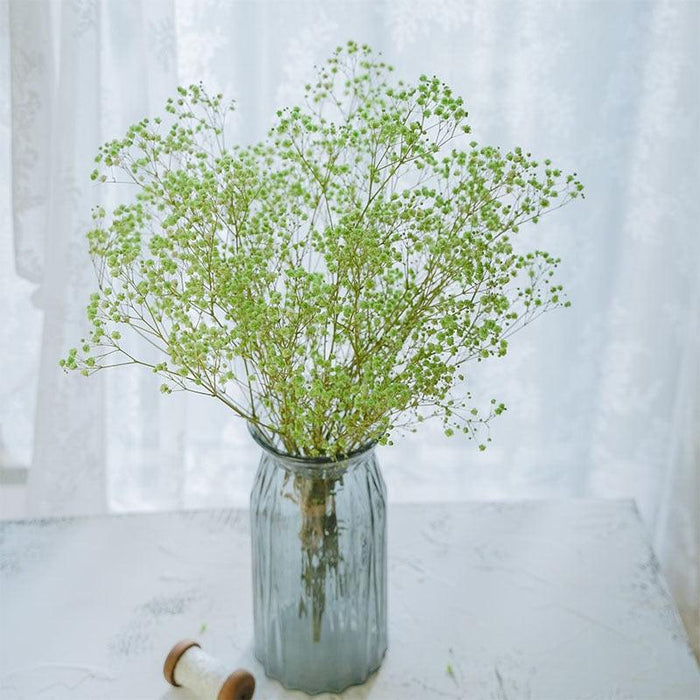 Elegant Dried Gypsophila Bouquet - Ideal for Weddings & Rustic Home Decor