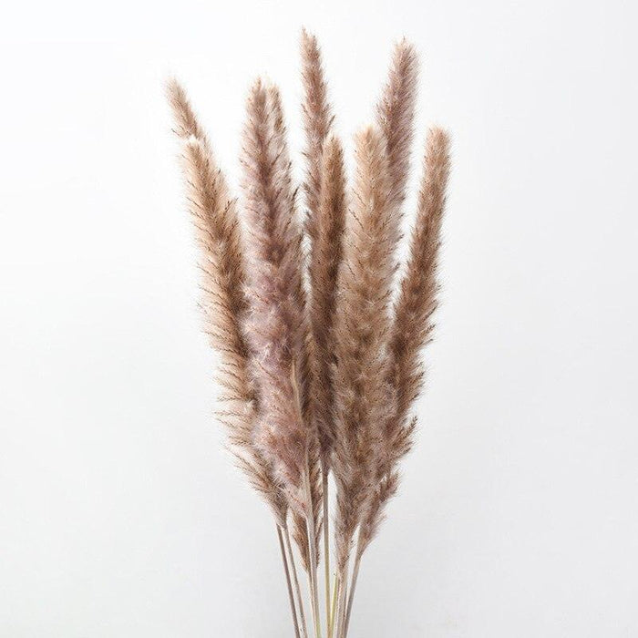 Dried Pampas Grass Bouquet - Elegant Rustic Decor for Homes and Weddings