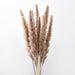 Dried Pampas Grass Bouquet - Elegant Rustic Decor for Homes and Weddings