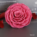 Timeless Grace: Luxurious Preserved Rose Head for Lasting Splendor