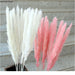 Elegant Pampas Grass Large Bouquet - Premium Dried Flower Arrangement for Everlasting Home Decor