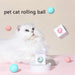Interactive Smart Cat Toy for Stimulating Indoor Play and Exercise