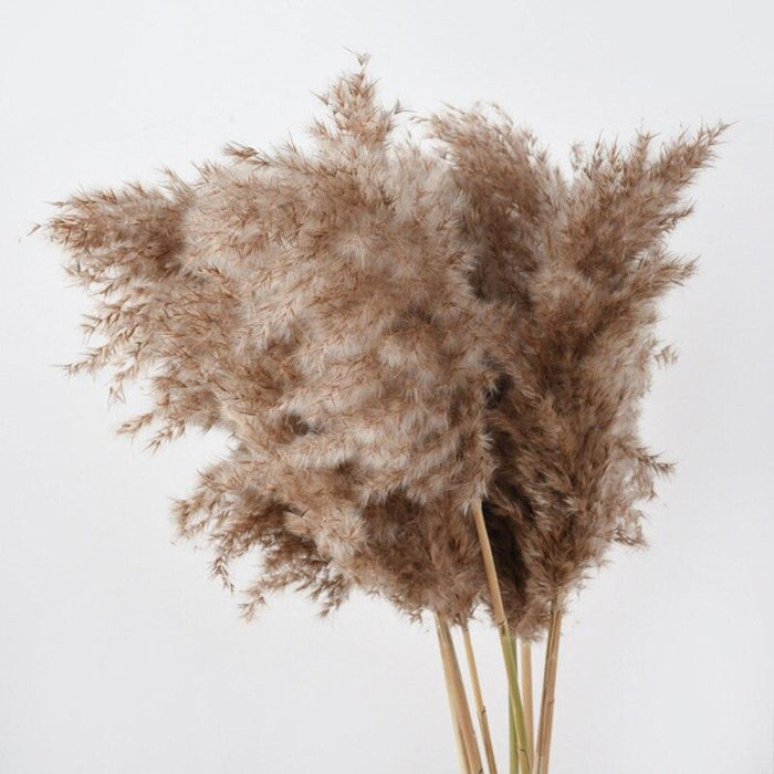 Chic Dried Pampas Grass and Reed Arrangement for Home and Wedding Decor