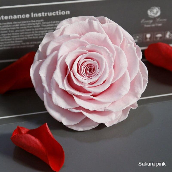 Timeless Grace: Luxurious Preserved Rose Head for Lasting Splendor