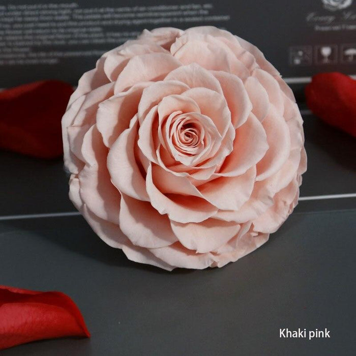 Timeless Grace: Luxurious Preserved Rose Head for Lasting Splendor