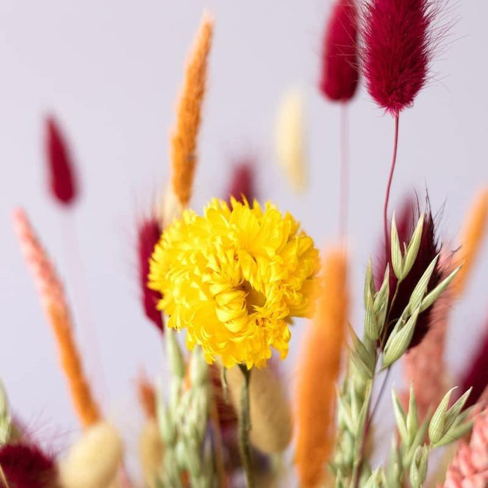 Natural Elegance Dried Flower Arrangement - Exquisite Home Decor Blooms