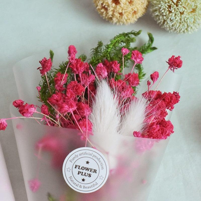 Petite DIY Dried Flower Decor Set - Elegant Home and Office Ambiance Booster