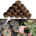 Ultimate Eco-Friendly Seedlings Planting Set with Biodegradable Peat Blocks for Enhanced Gardening Success