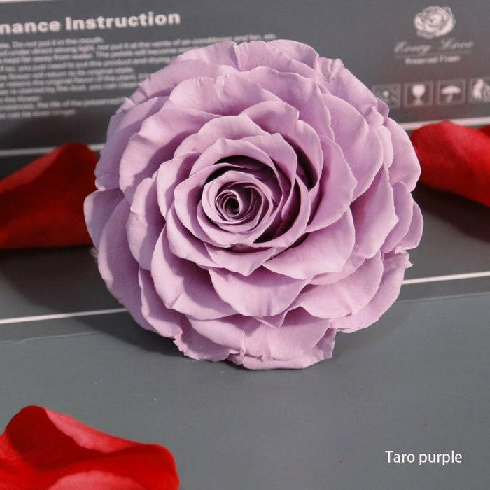 Timeless Grace: Luxurious Preserved Rose Head for Lasting Splendor