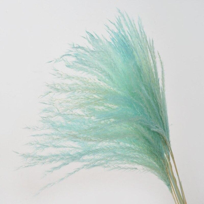 Natural Dried Pampas Grass and Reed Bouquet for Stylish Home and Wedding Decor