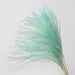 Natural Dried Pampas Grass and Reed Bouquet for Stylish Home and Wedding Decor
