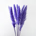 Dried Pampas Grass Bouquet - Elegant Rustic Decor for Homes and Weddings